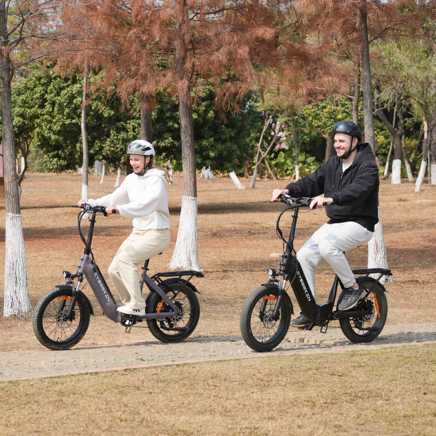 C20 Falt-E-Bike mit Tiefeinsteiger