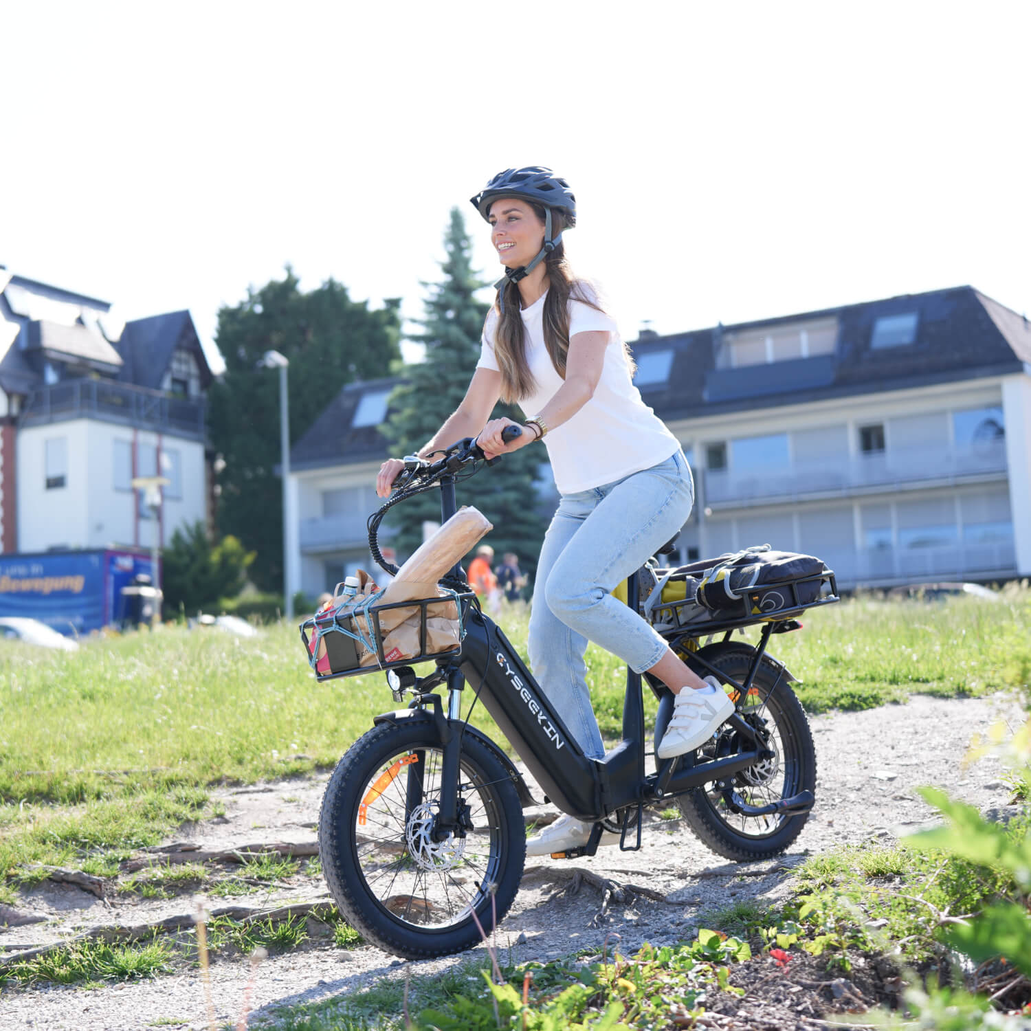 C20 Bicicleta eléctrica plegable con cuadro bajo
