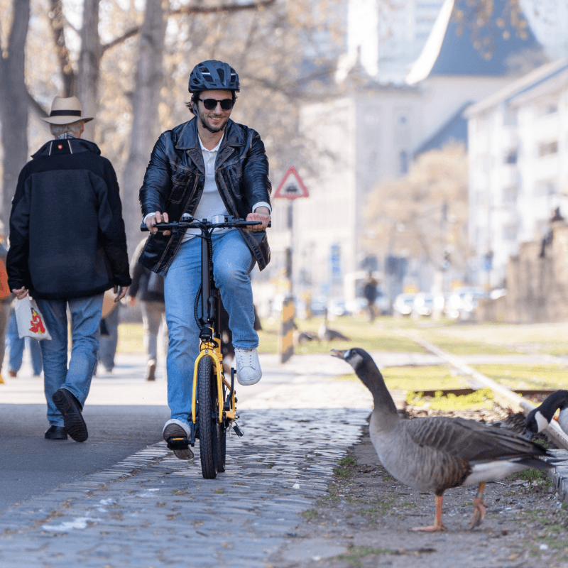 Cyseekin C10 Falt-E-Bike für spontane Wege