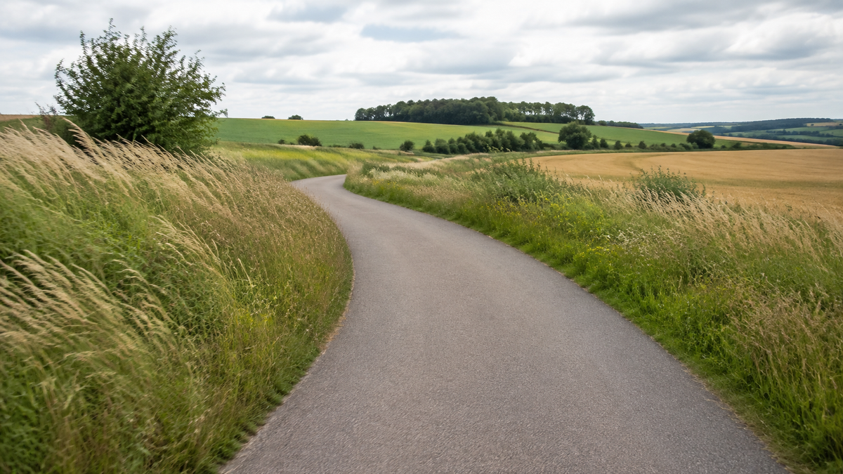 Befestigter Weg durch offene Felder mit vom Wind geneigten Gräsern