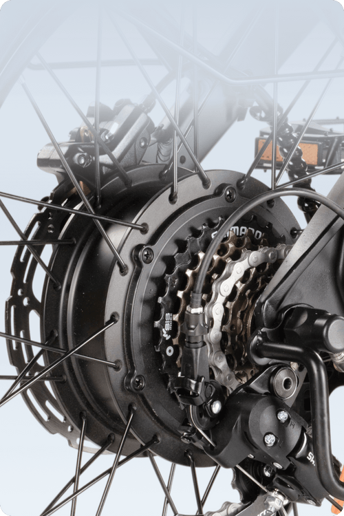 250 W EU-Standardmotor des Cyseekin C20