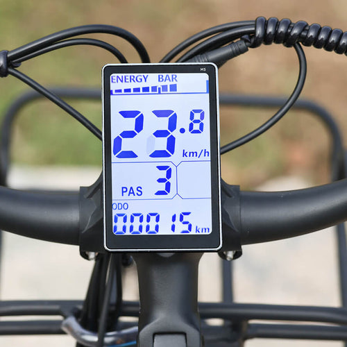 4,4 Zoll LCD-Display des Cyseekin S10 City E-Bikes