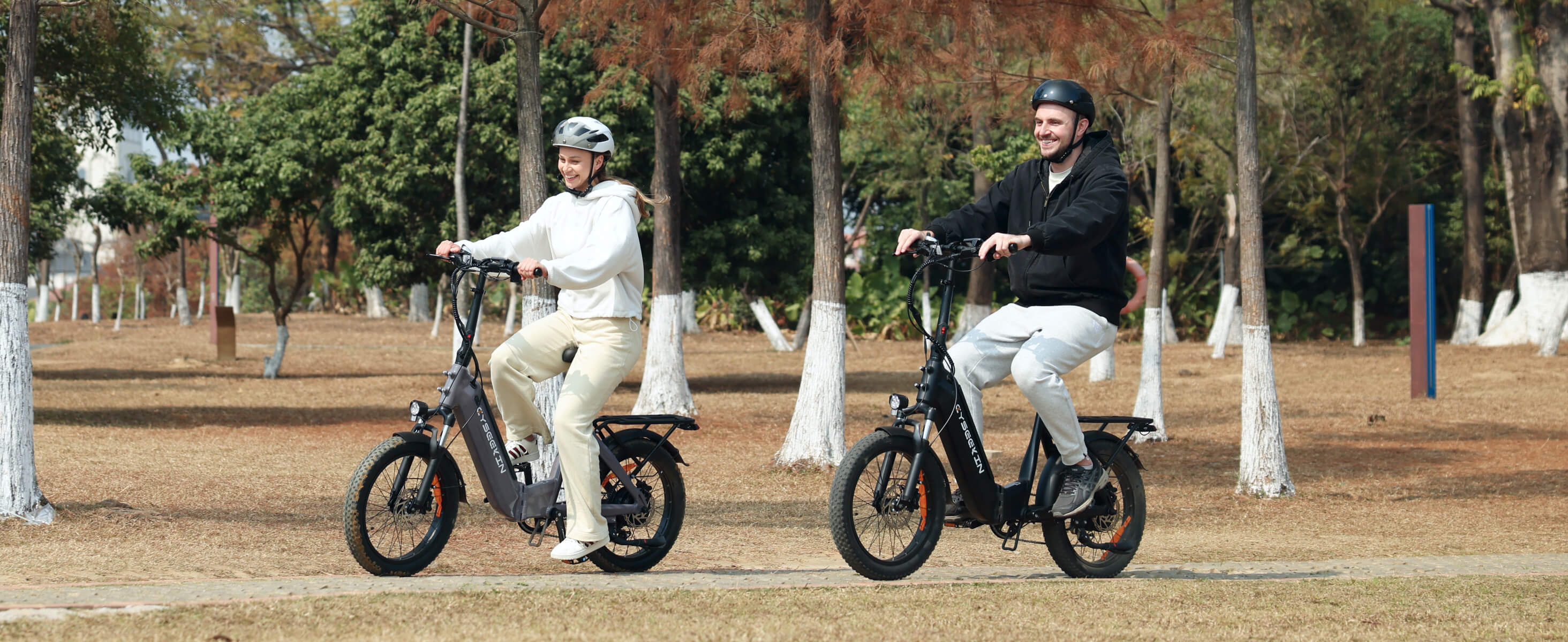 Alle Ebikes