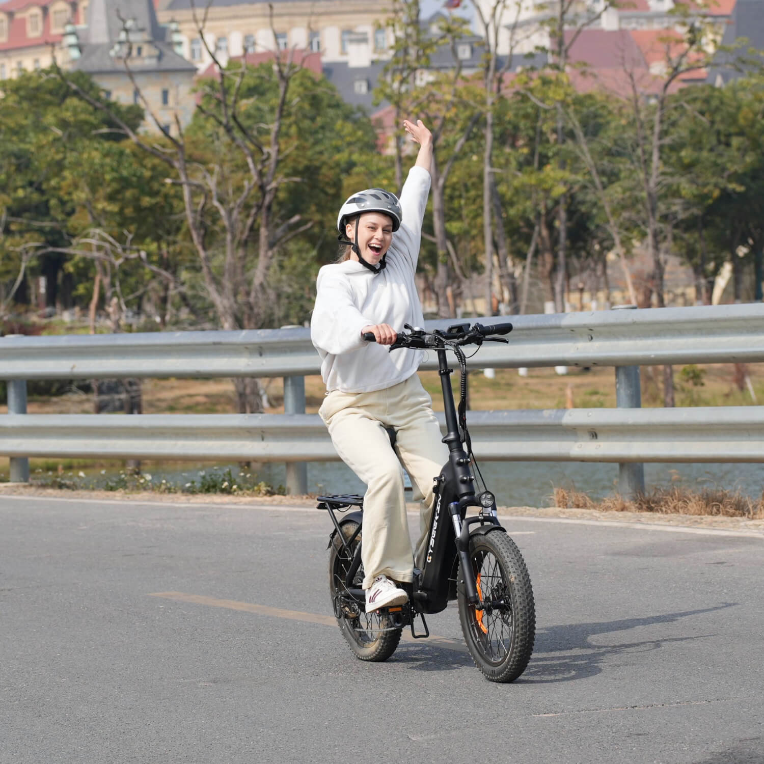 C20 Falt-E-Bike mit Tiefeinsteiger