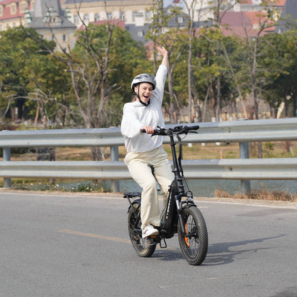 C20 Falt-E-Bike mit Tiefeinsteiger