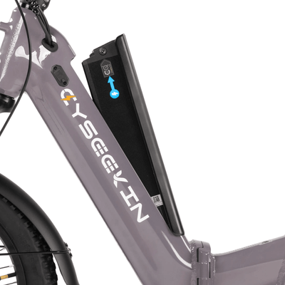 C20_Falt-E-Bike_mit_Tiefeinsteiger8