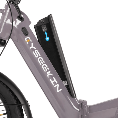 C20_Falt-E-Bike_mit_Tiefeinsteiger8