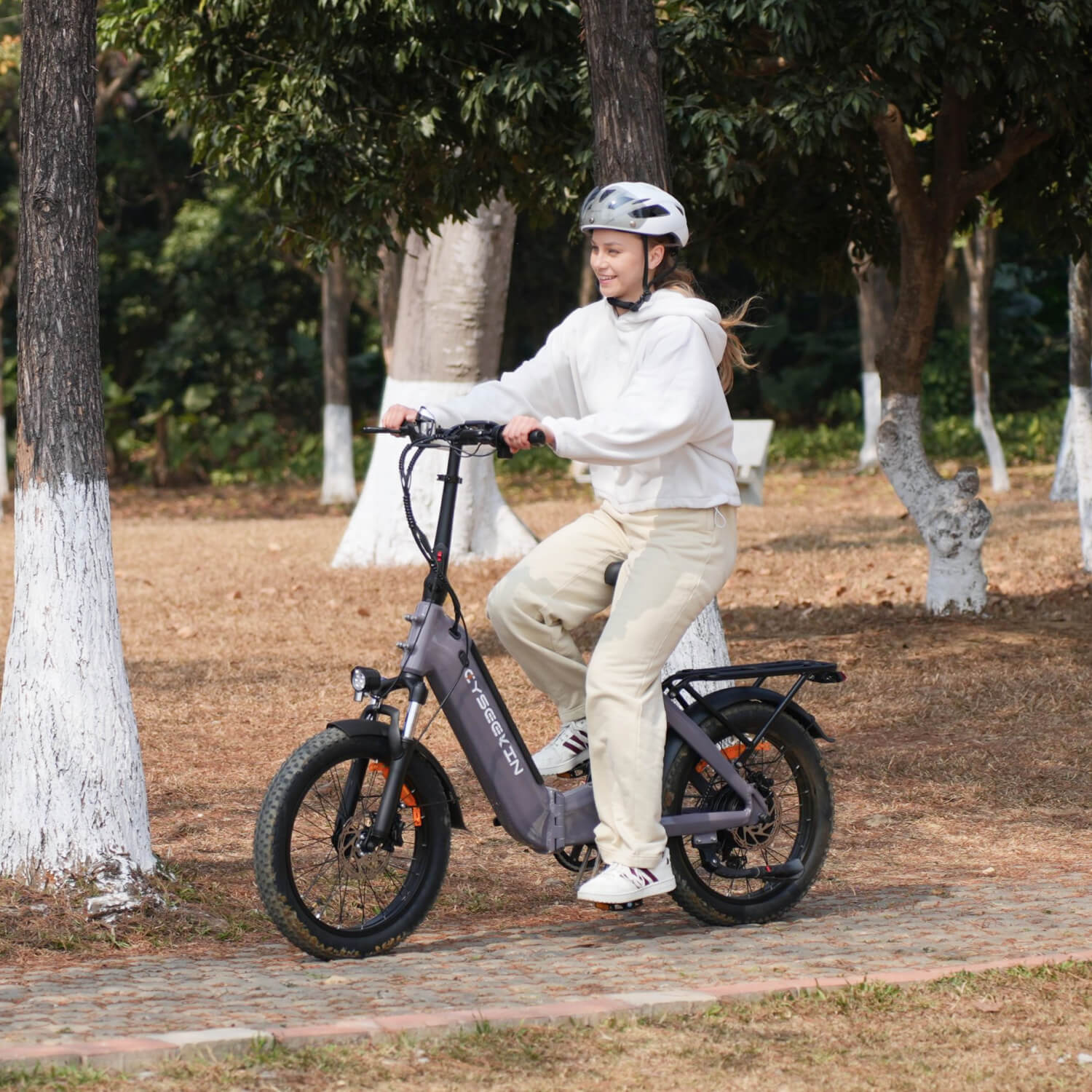 C20 Falt-E-Bike mit Tiefeinsteiger