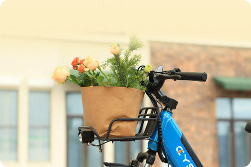 Korb und Gepäckträger am Cyseekin S10