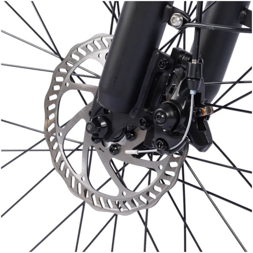 Mechanische Scheibenbremsen am Cyseekin S10