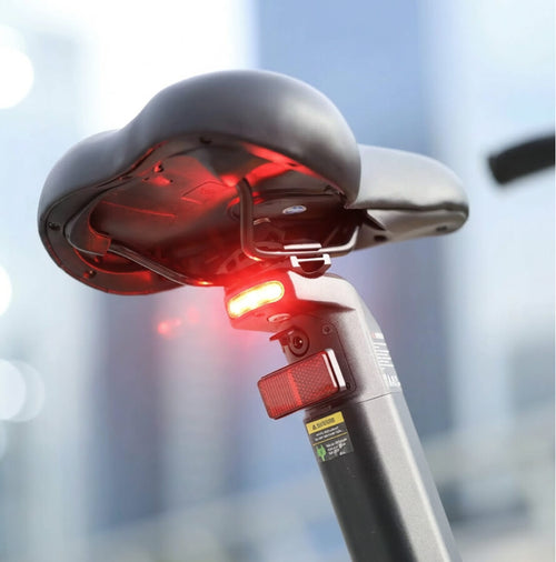 Luce posteriore a LED integrata